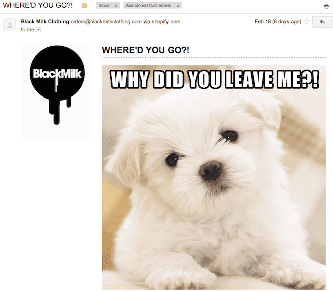 Abandoned cart email example
