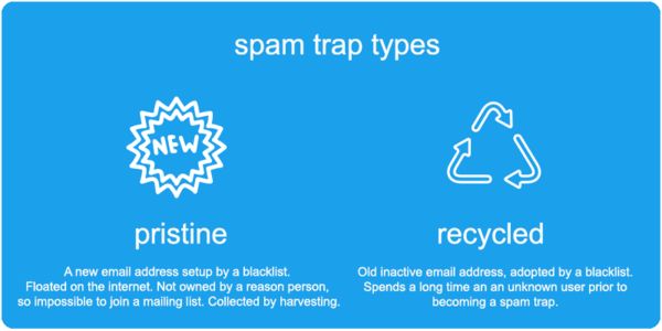 Two Types of Email Spam Traps