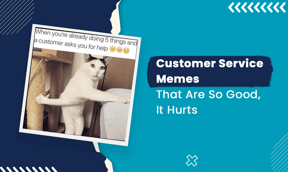 Page 3 - 24 Best meme Services To Buy Online