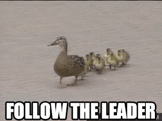 follow the leader