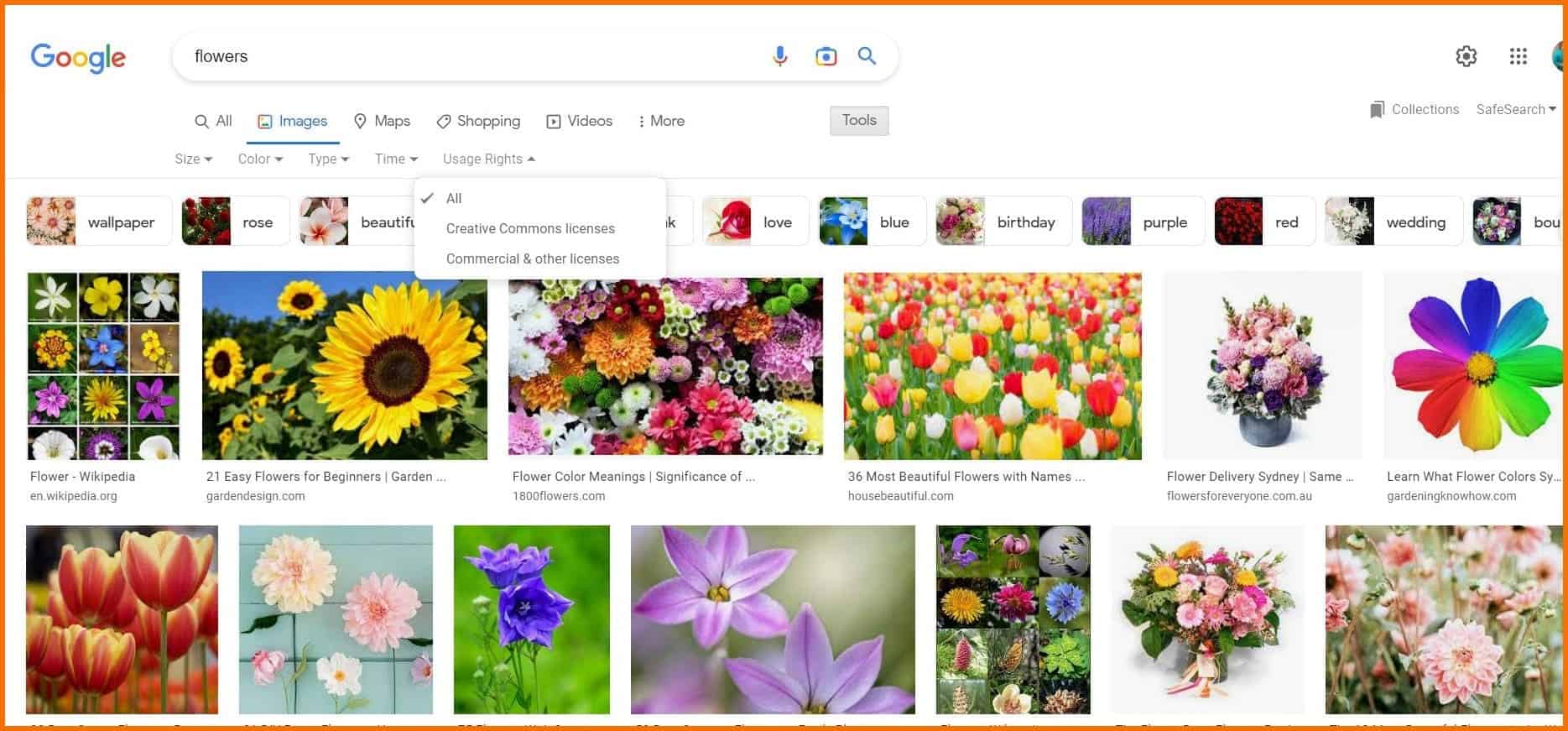 Types of images Google Search