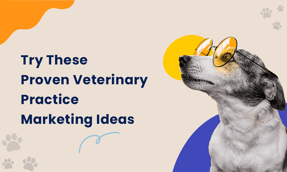 veterinary-practice-marketing-ideas