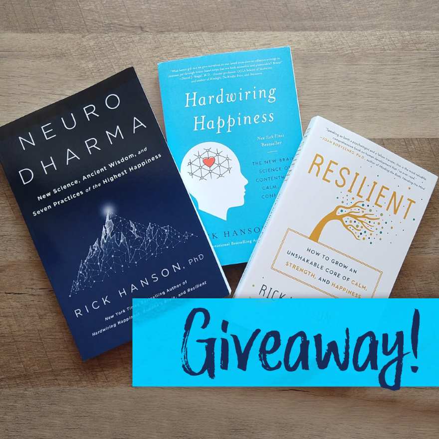 Book giveaway example for August marketing