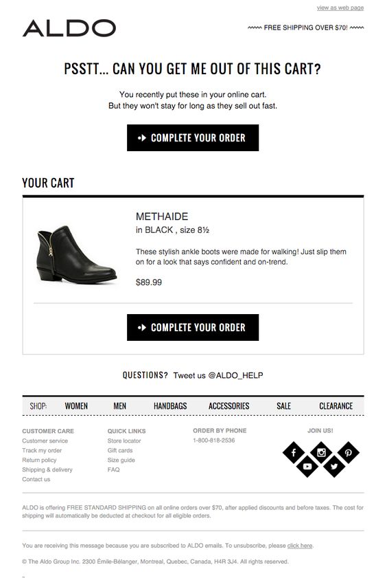 eCommerce abandoned Cart email example by Aldo