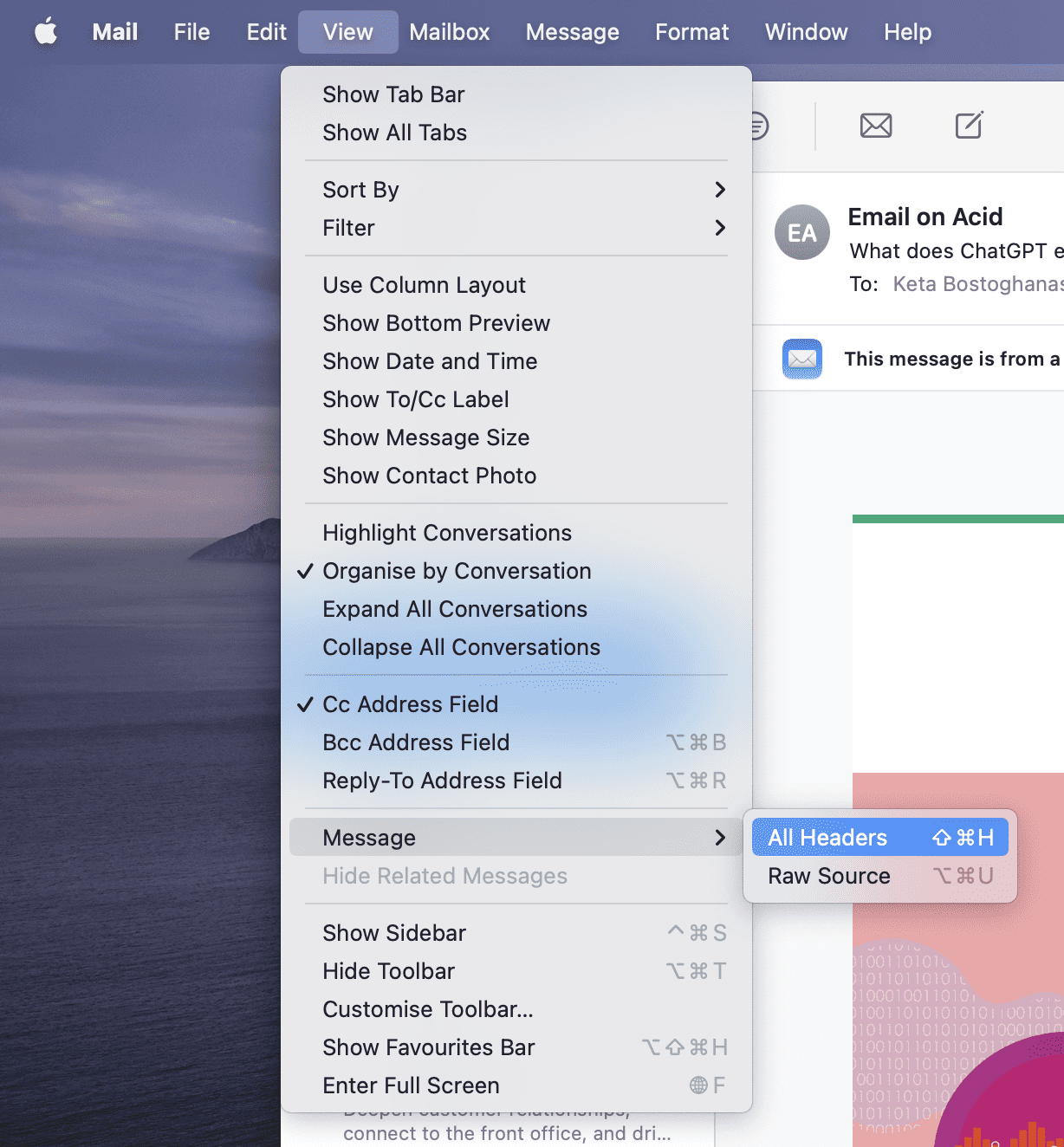 Email Headers in Apple Mail