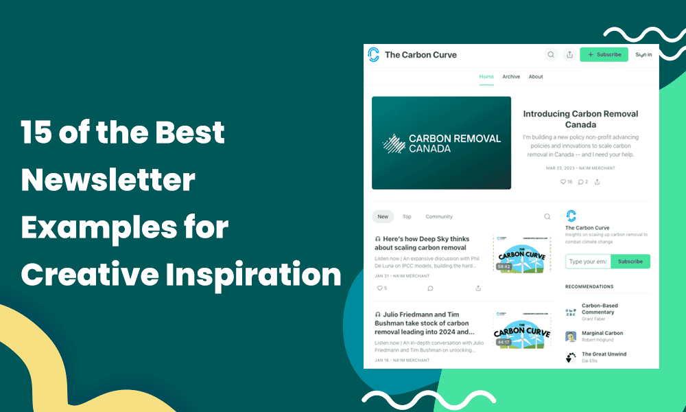 best-newsletter-examples