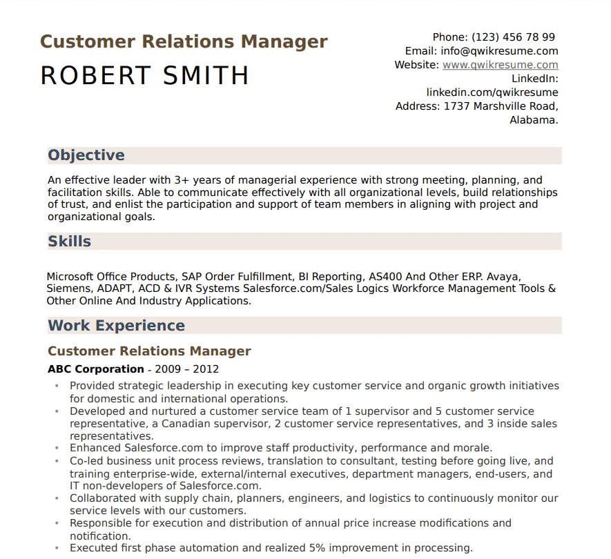 CRM experience summary (Qwikresume)